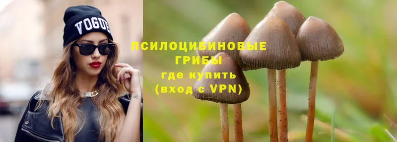 Псилоцибиновые грибы Magic Shrooms  купить наркотики цена  Гаврилов Посад 